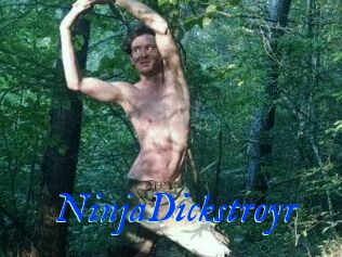 NinjaDickstroyr