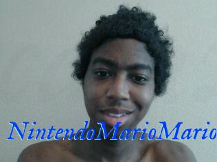 NintendoMarioMario