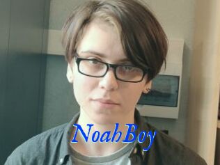 NoahBoy