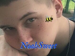 NoahSweet