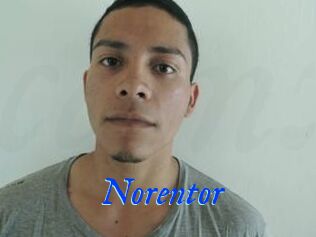 Noren_tor