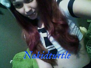 Nakidturtle