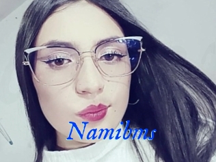 Namibms