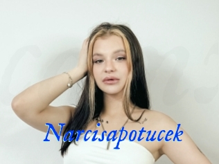 Narcisapotucek