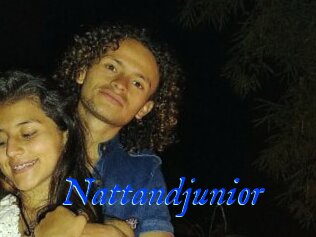 Nattandjunior
