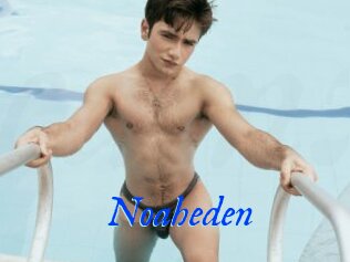 Noaheden