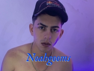 Noahgooms