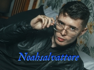 Noahsalvattore