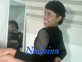 Noahsinn
