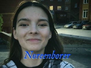 Noreenborer