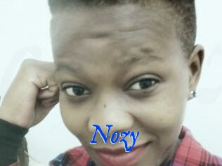 Nozy