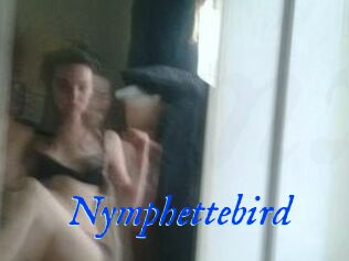 Nymphettebird