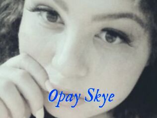 Opay_Skye