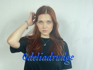 Odeliadrudge