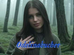 Odelinabucher