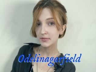 Odelinagarfield