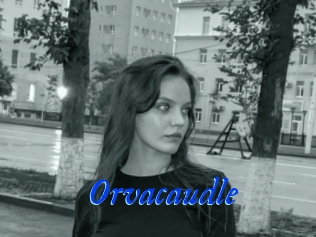 Orvacaudle