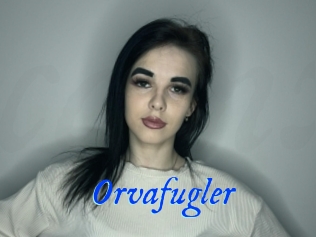 Orvafugler