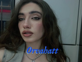 Orvahatt