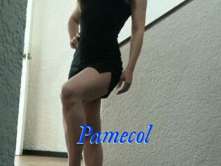 Pamecol
