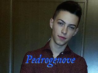 Pedrogenove