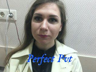 Perfect_Pvt