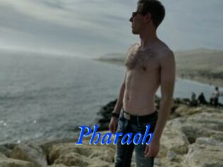 Pharaoh