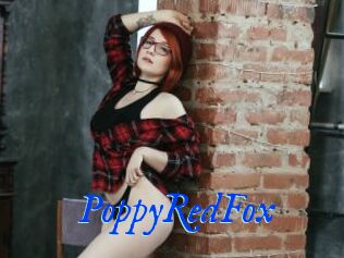 PoppyRedFox