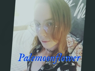 Palemoonflower