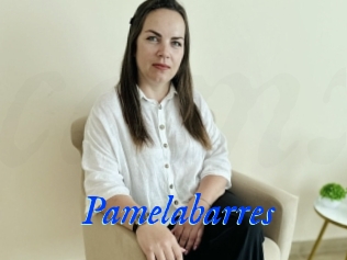 Pamelabarres
