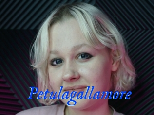 Petulagallamore