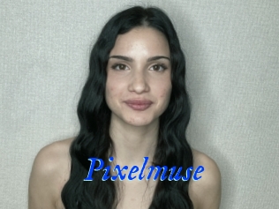 Pixelmuse