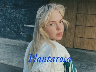 Plantarosa