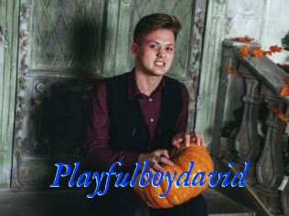 Playfulboydavid