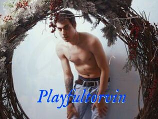 Playfultorvin