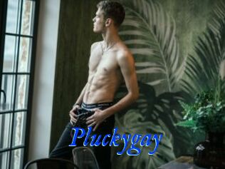 Pluckygay