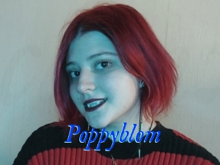 Poppyblom