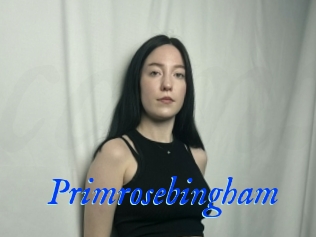 Primrosebingham