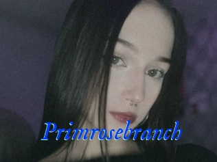 Primrosebranch