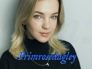 Primrosedagley