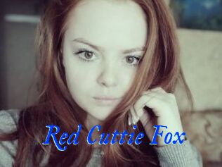 Red_Cuttie_Fox