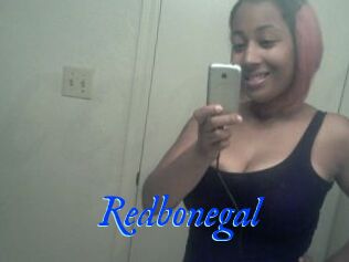 Redbonegal
