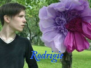 Rodrigie