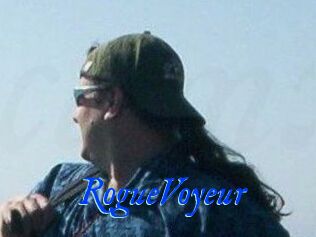 RogueVoyeur