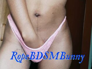 RopeBDSMBunny