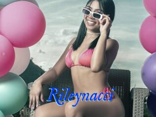 Rileynacci