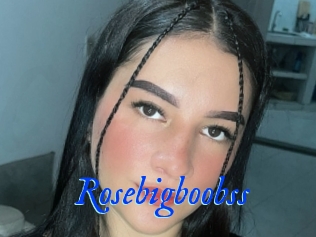 Rosebigboobss