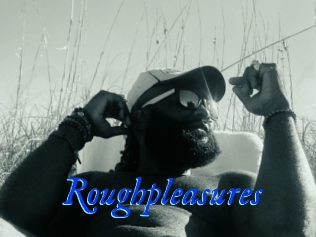 Roughpleasures
