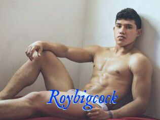 Roybigcock