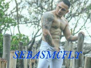SEBASMCFLY